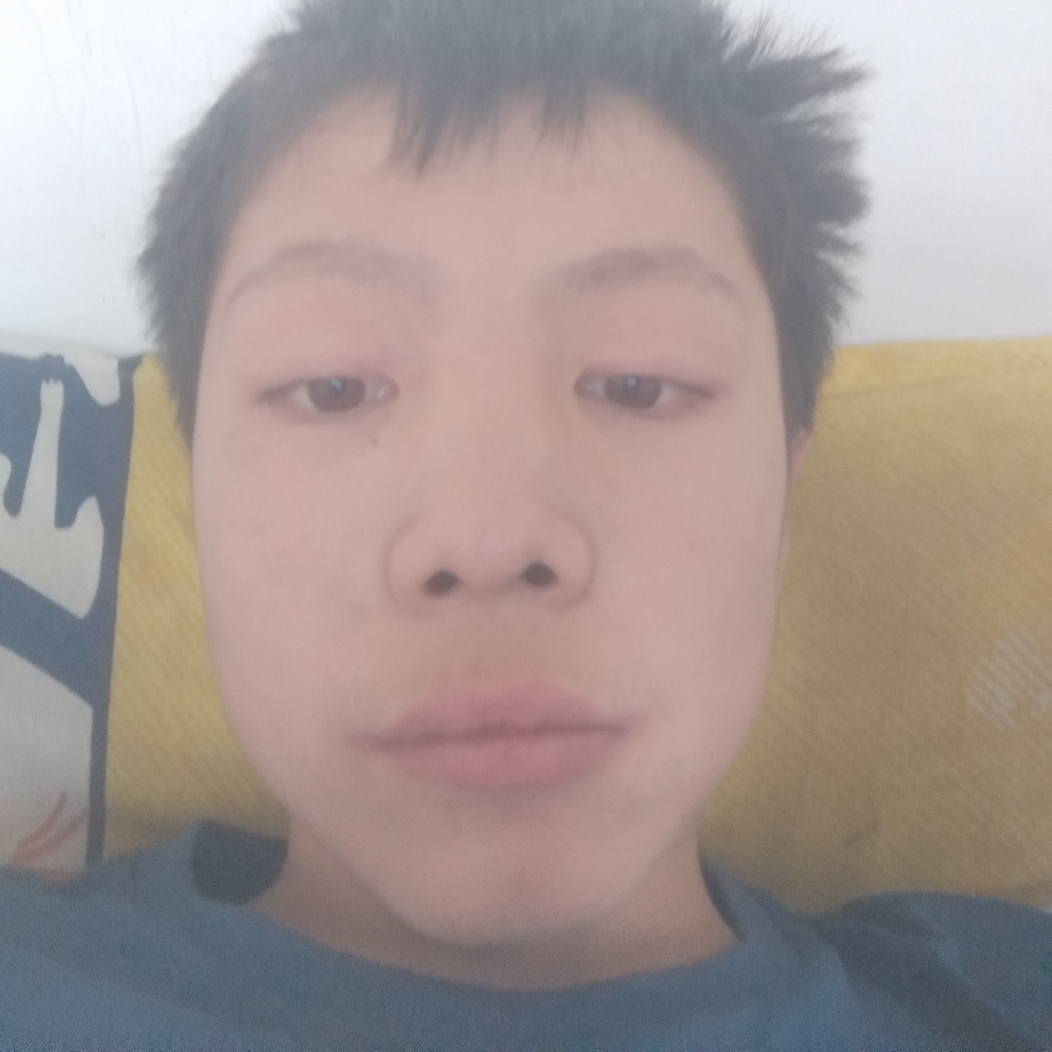 梦出岛屿的照片