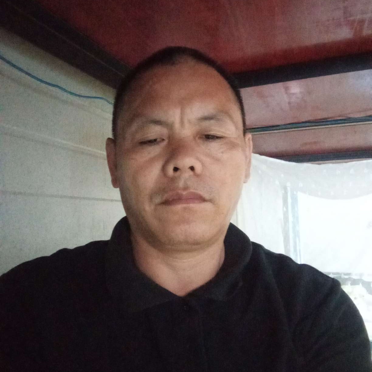 爱笑向斑马的照片