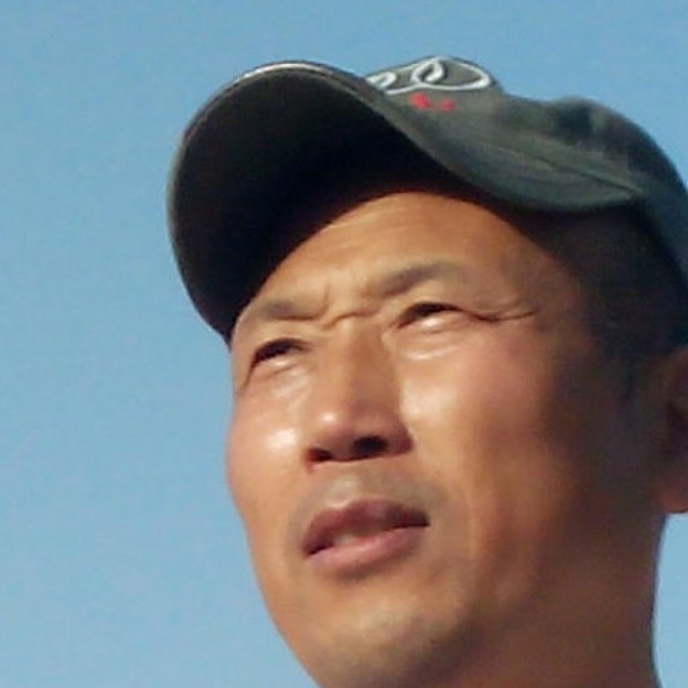 沉静蹁跹玫瑰的照片