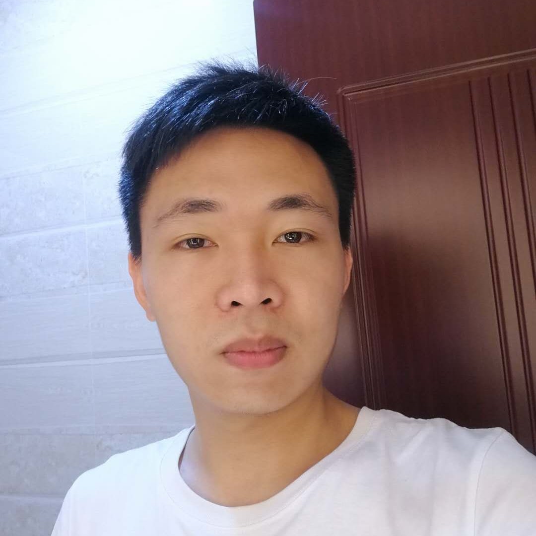 蚂蚁有神勇的照片