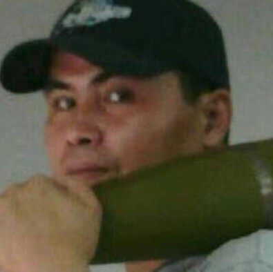 猫咪拼搏的照片