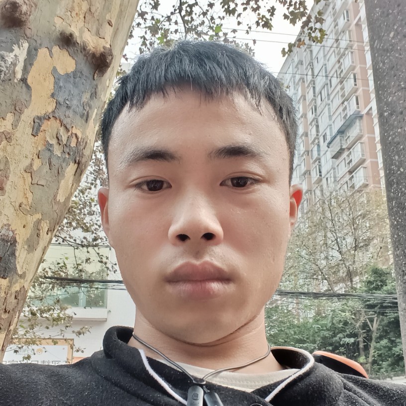 白猫回首冷酷的照片