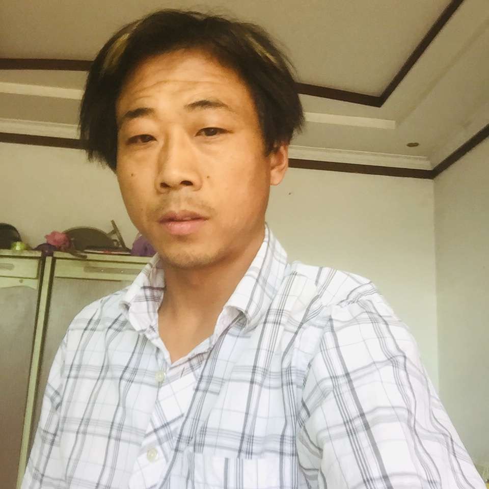 小蝴蝶正在飞的照片