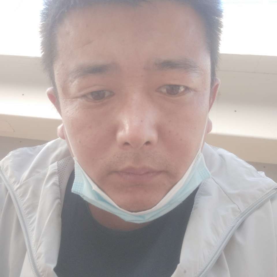 坚强就小猫咪的照片