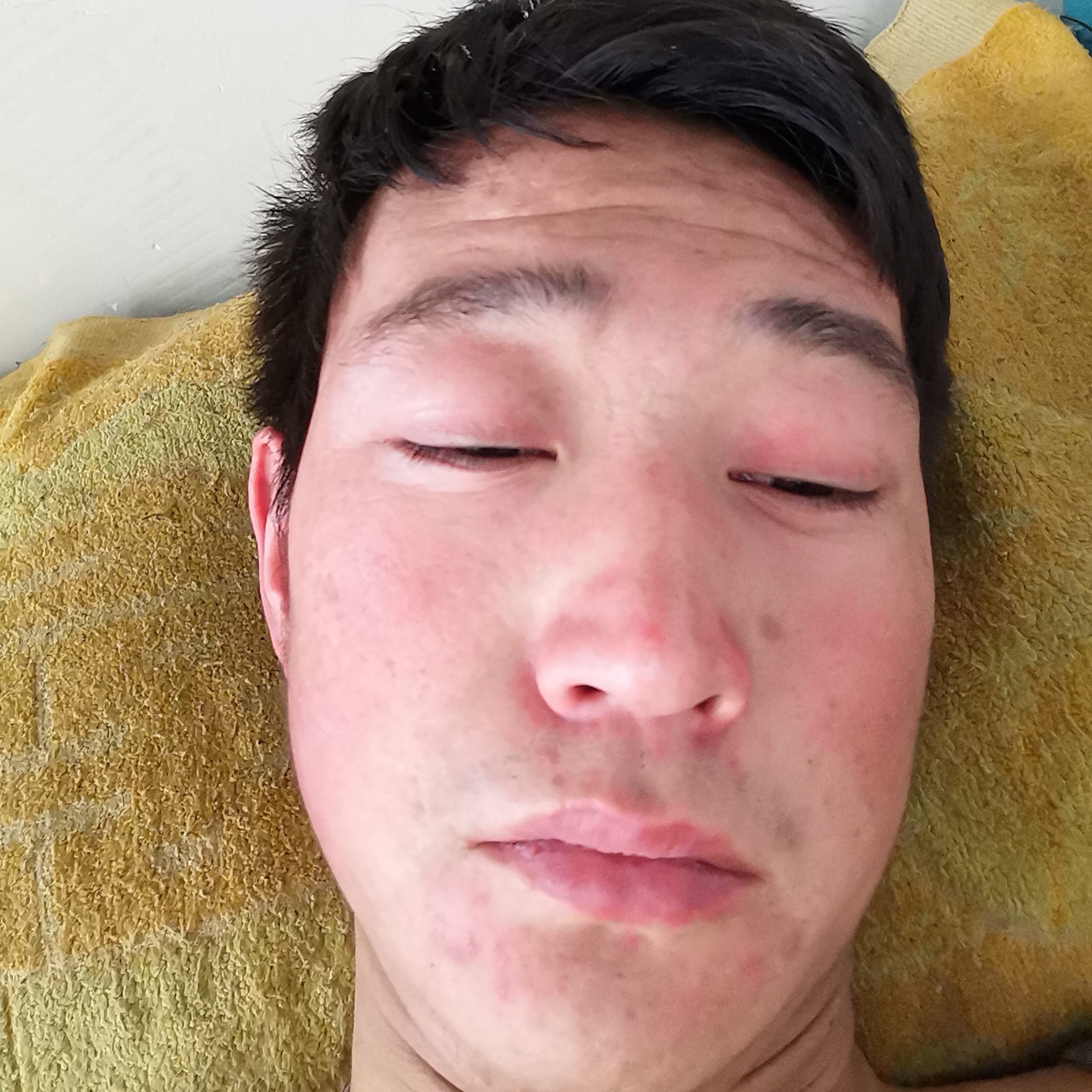 猎豹保卫彪壮的照片