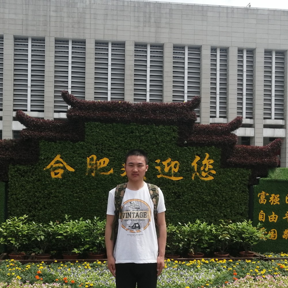 秀发透彻的照片