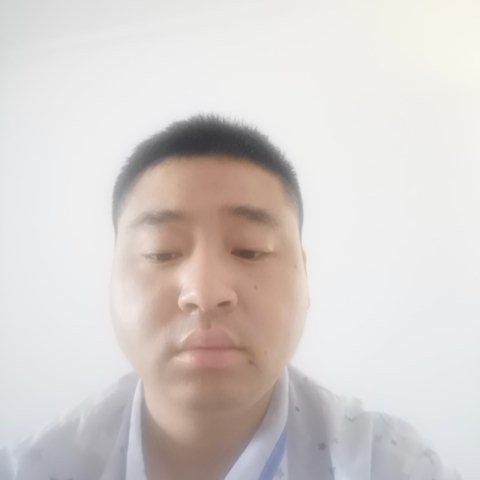 枯叶随风2的照片