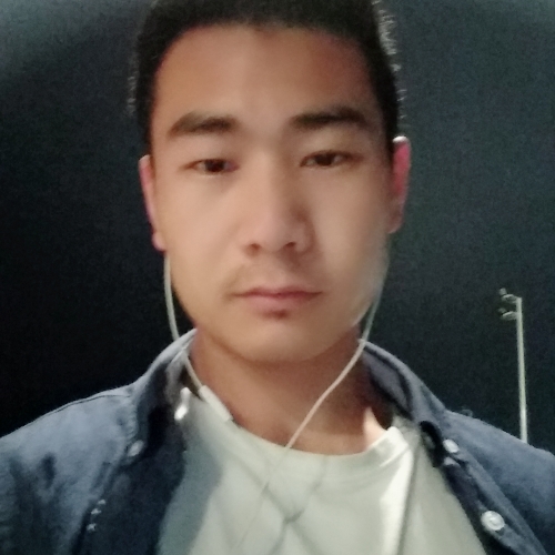 菌菇的照片