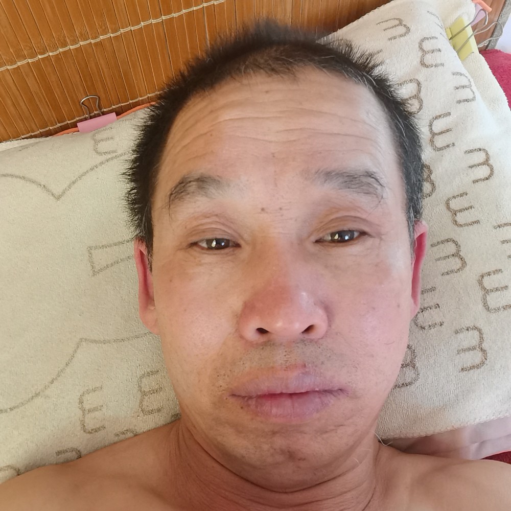 蜜蜂淡定的照片