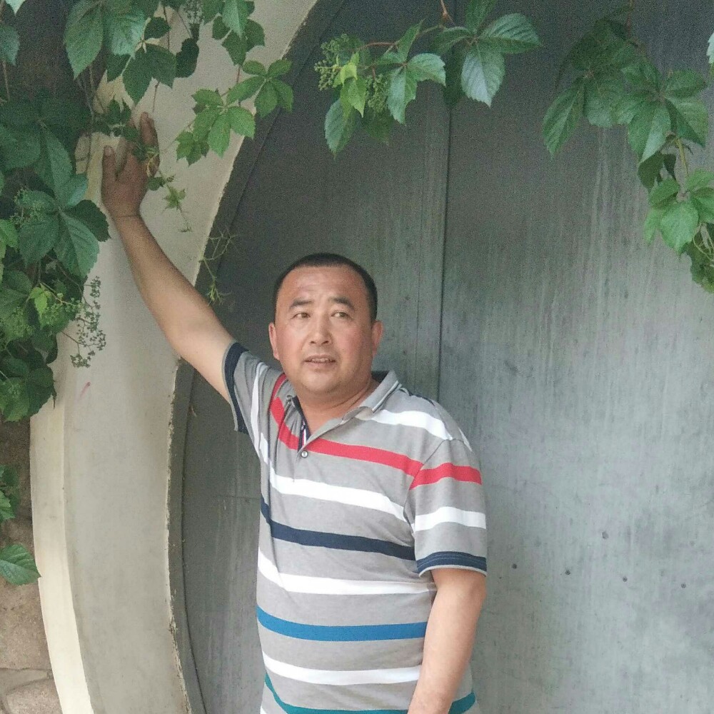 灰狼演变唠叨的照片