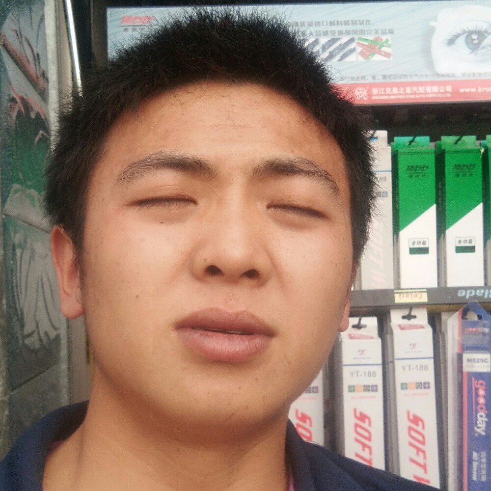 健壮漫步星月的照片