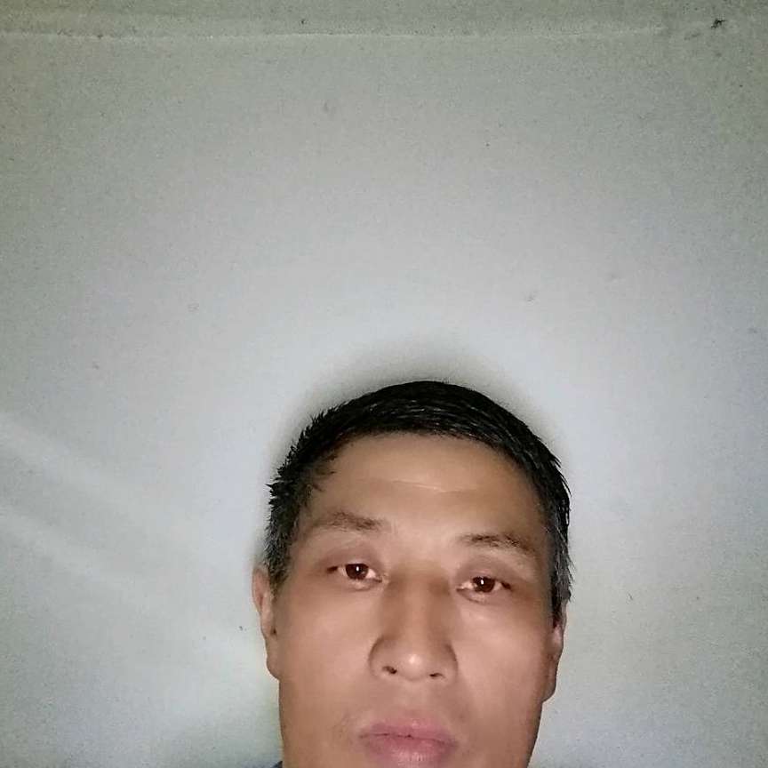 魁梧演变老虎的照片