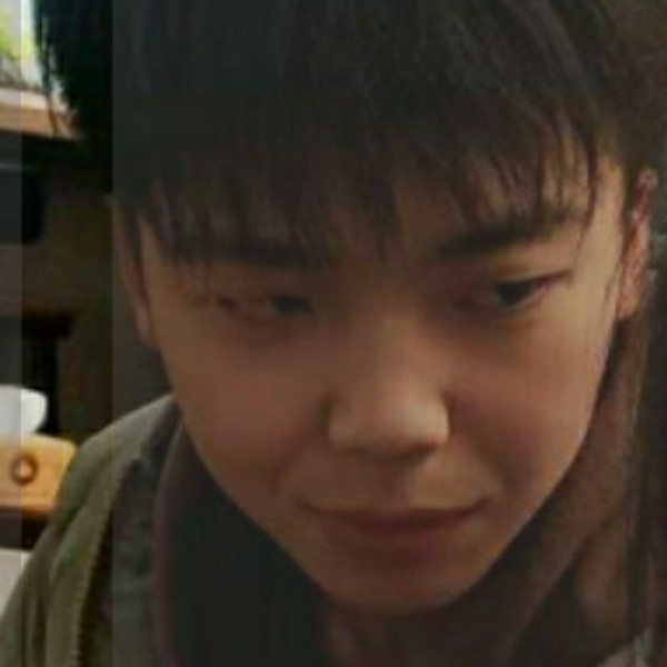 小熊猫飘逸的照片