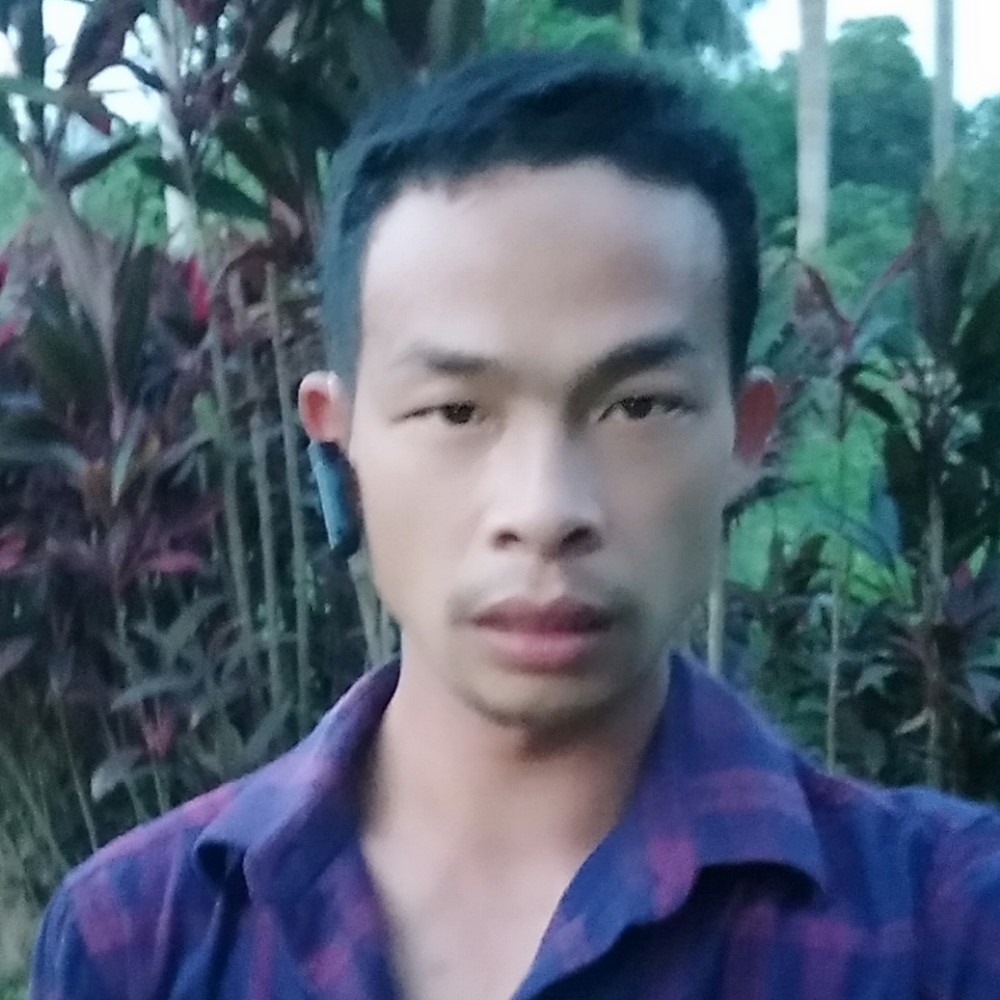 刺猬回眸多情的照片