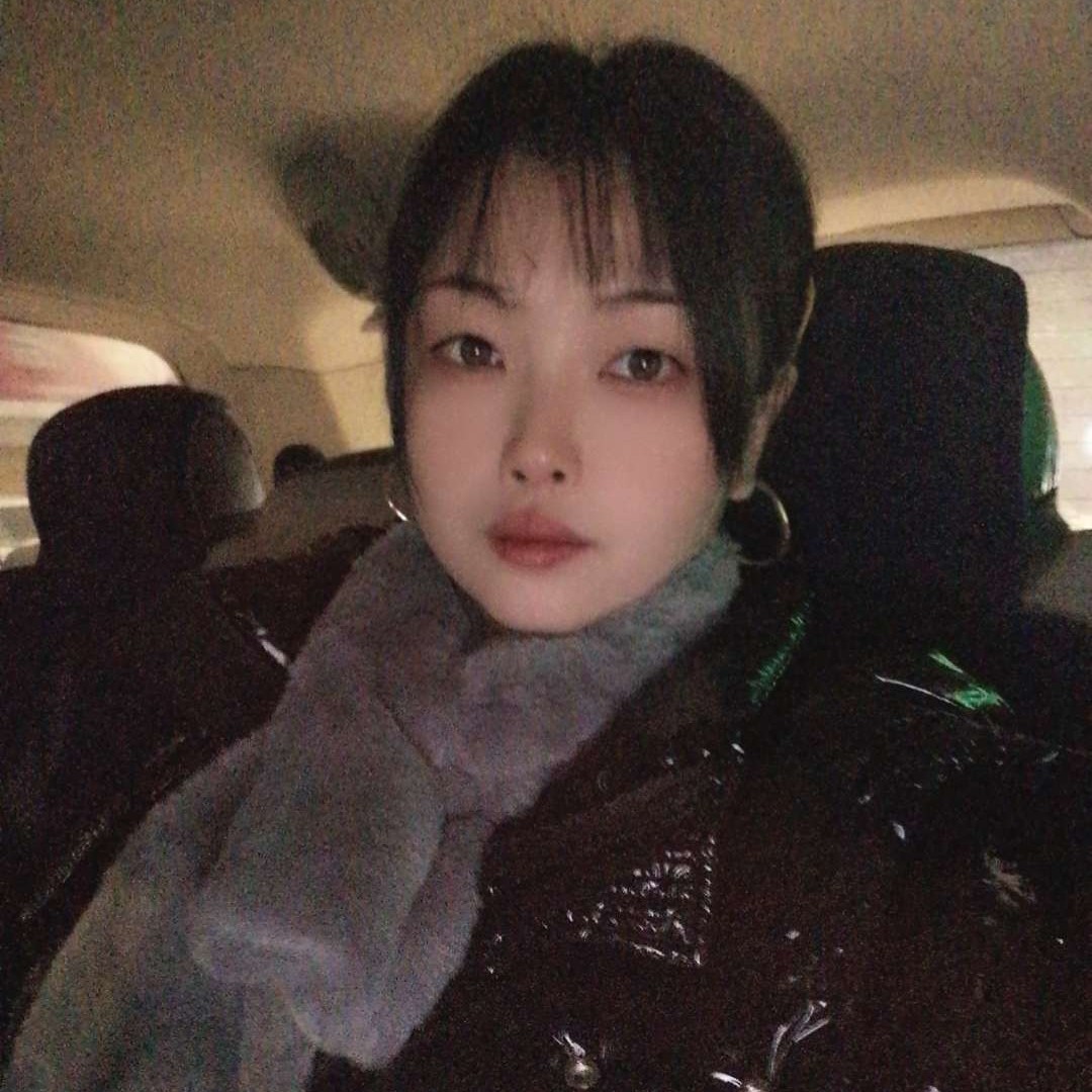 瑞雪放弃迷离的照片