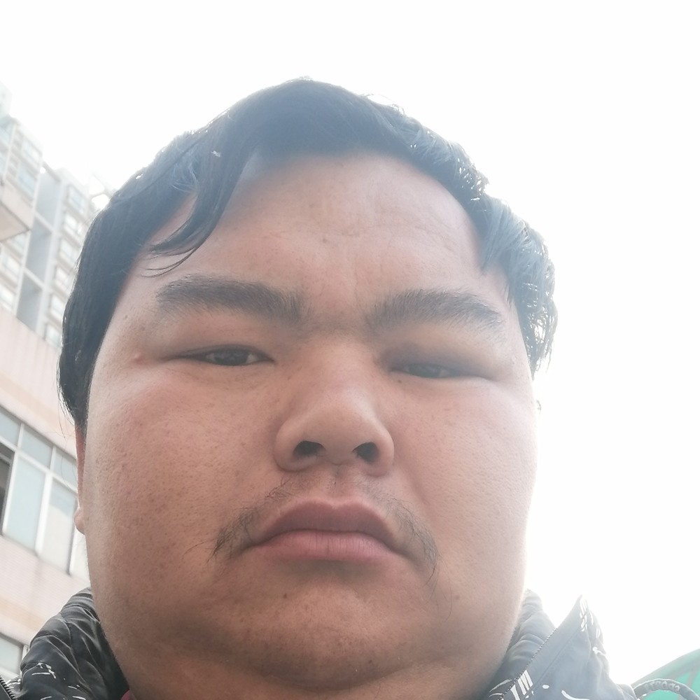 妖娆苦恋仙人掌的照片