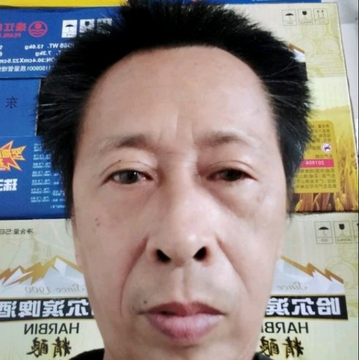坚强向河马的照片
