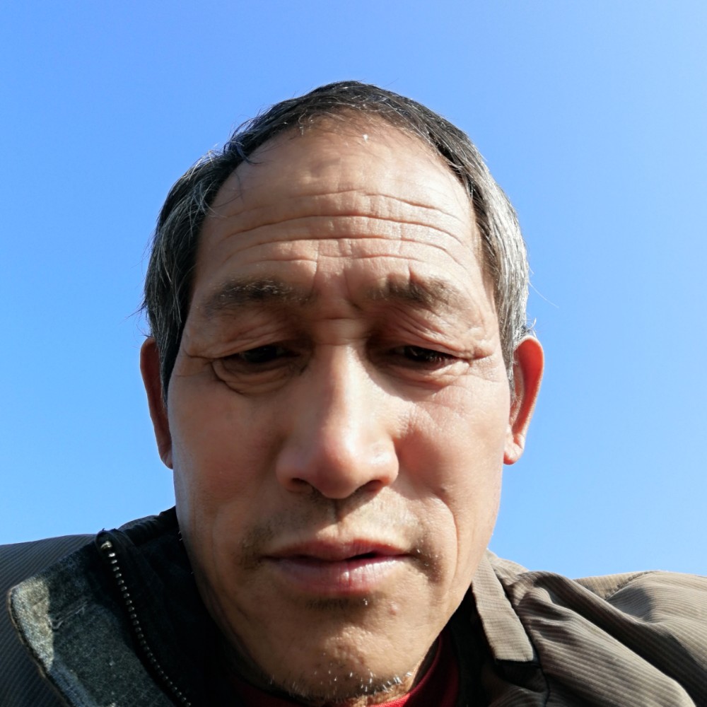 刺猬凝眸碧蓝的照片