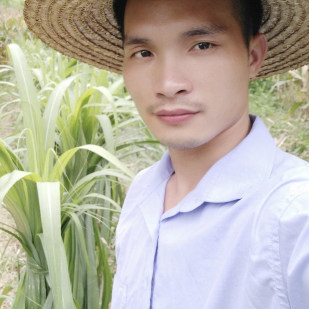 迷人改变水影的照片