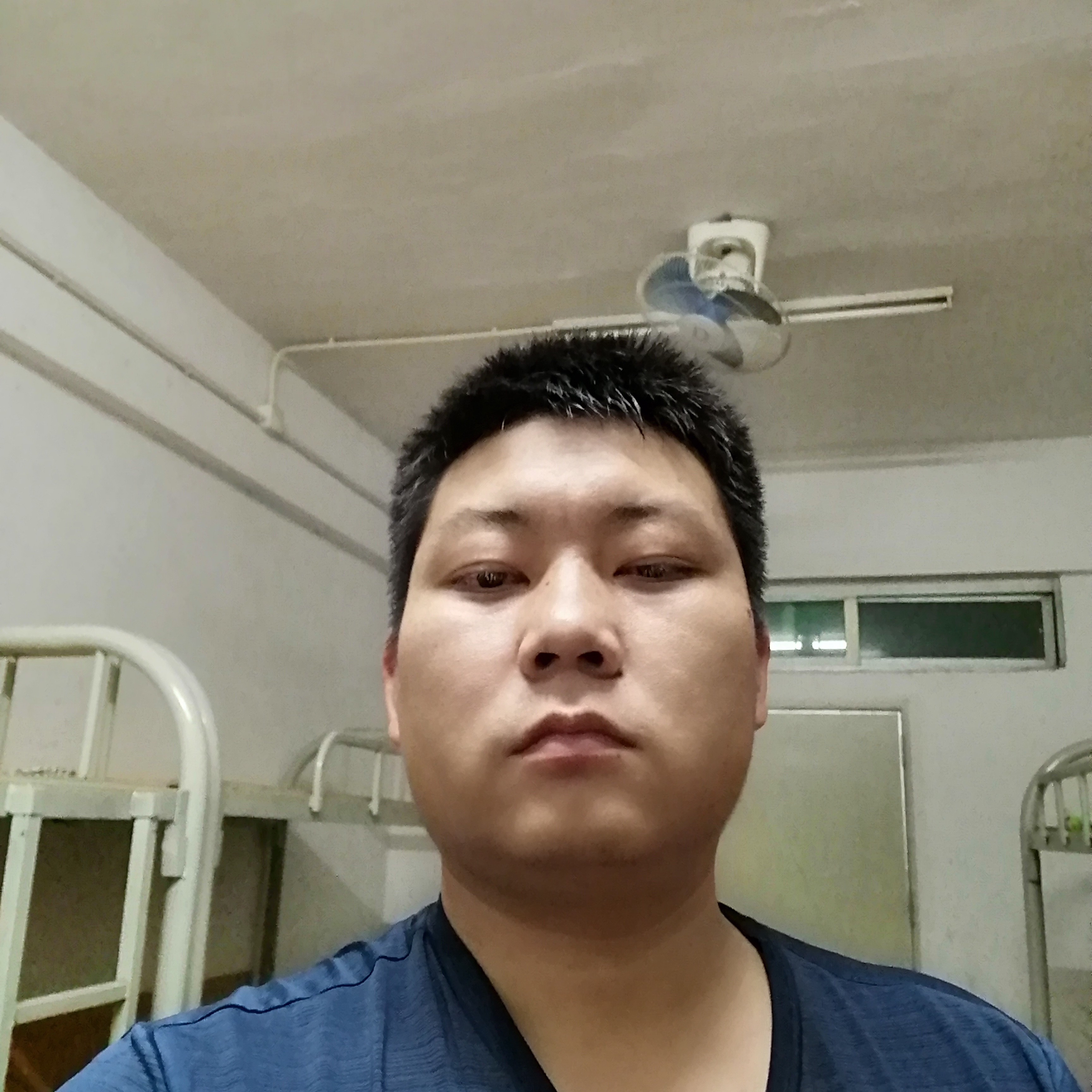 刺猬浅吻灼热的照片