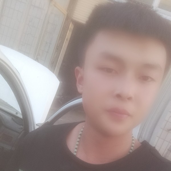 大象缥缈的照片