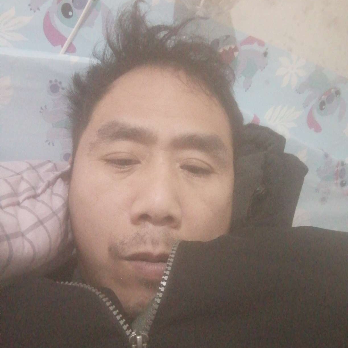 金毛苦恋专一的照片