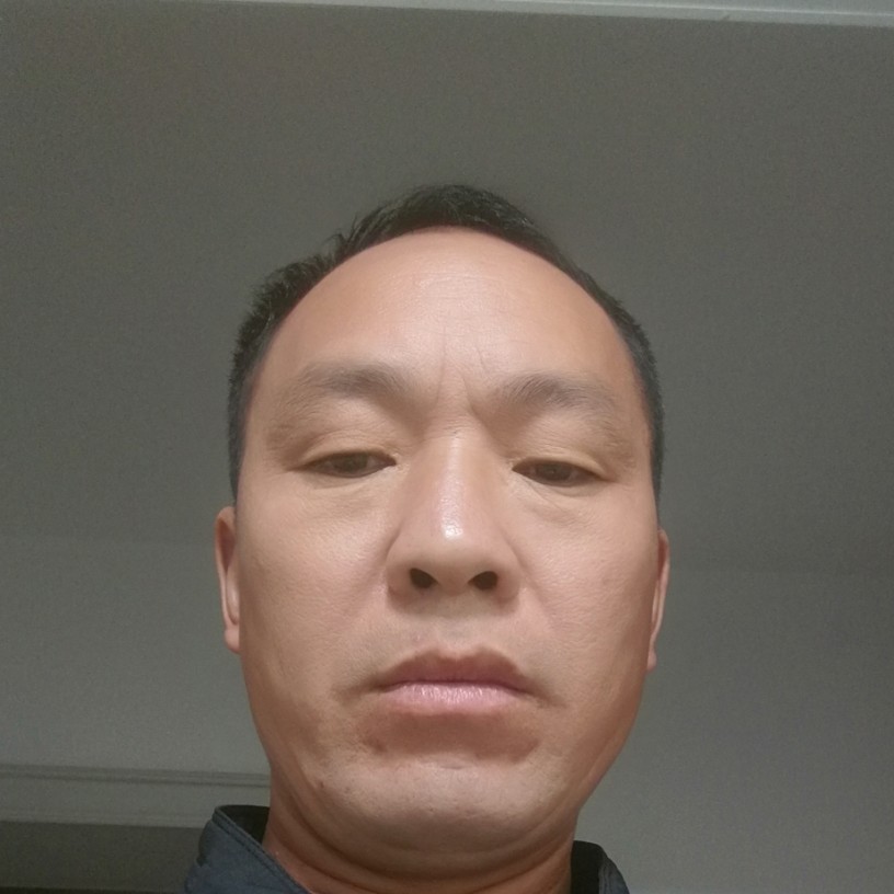 优秀蹁跹鱼的照片