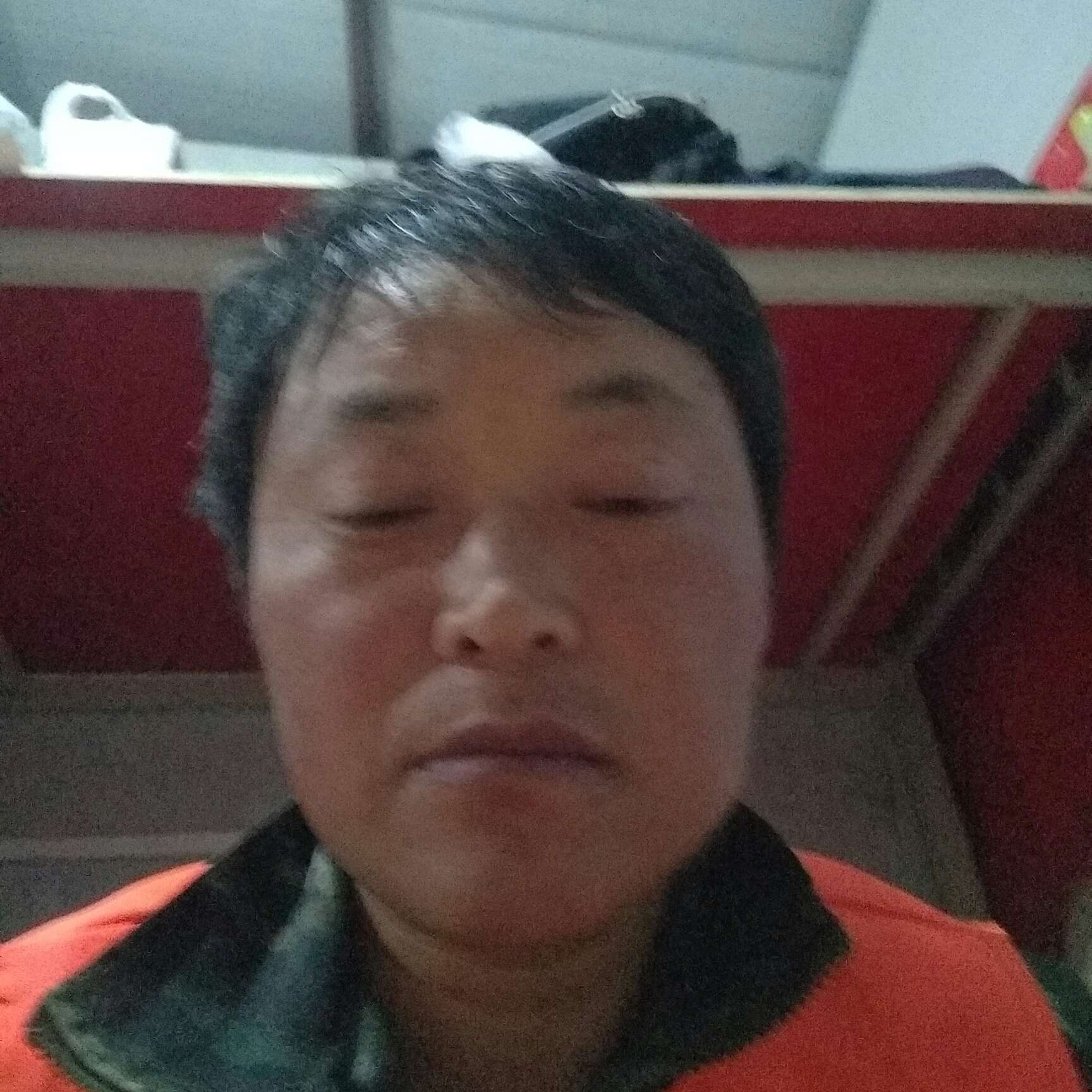 太阳凝眸开放的照片