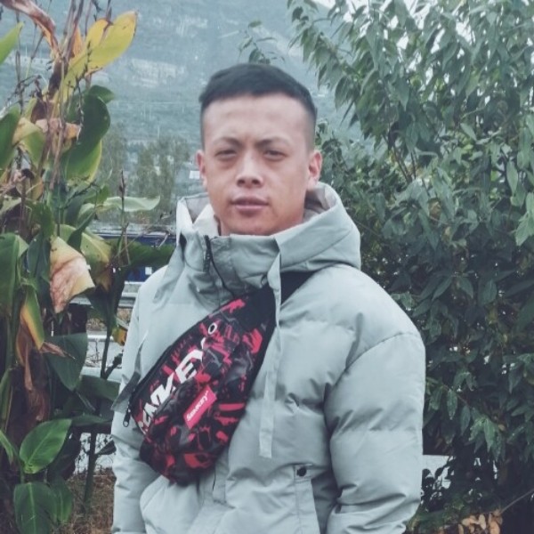 夏露笑落寞的照片