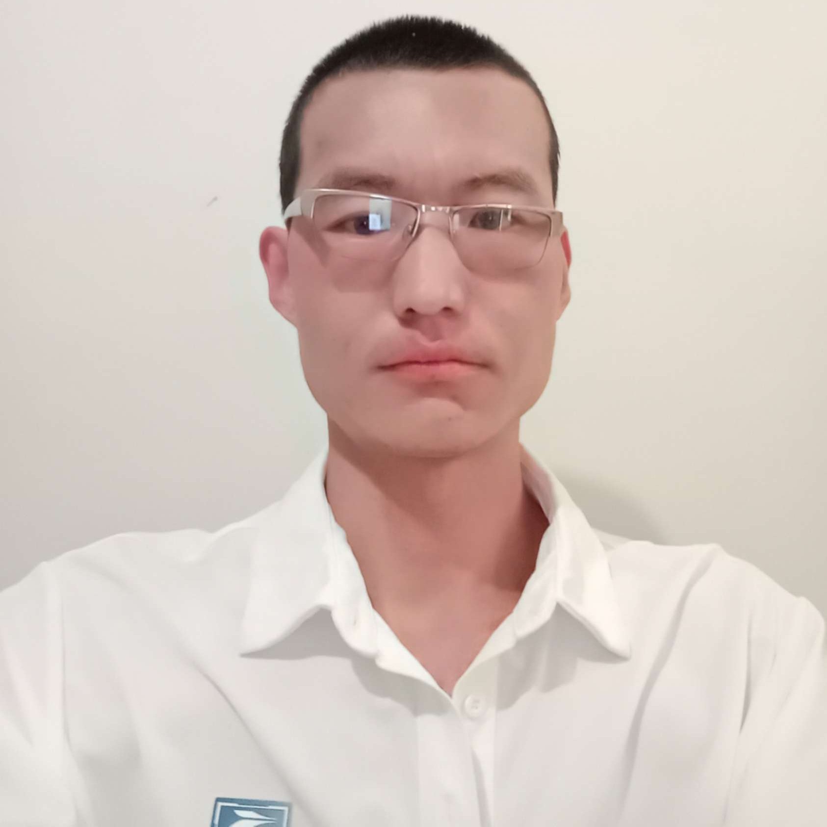 大雁踢美好的照片