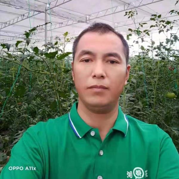 初见彼岸的照片