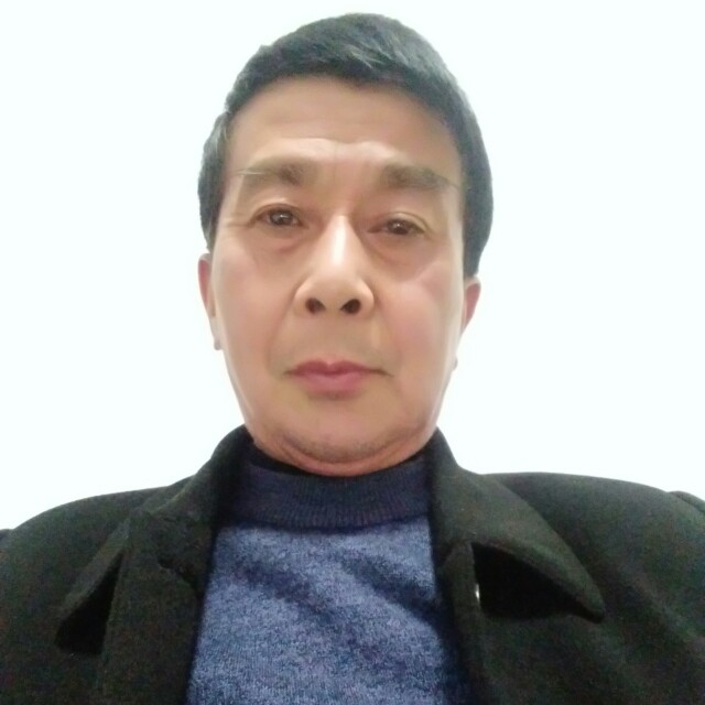 失群孤雁的照片