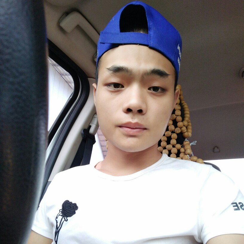 大胆小蚂蚁的照片