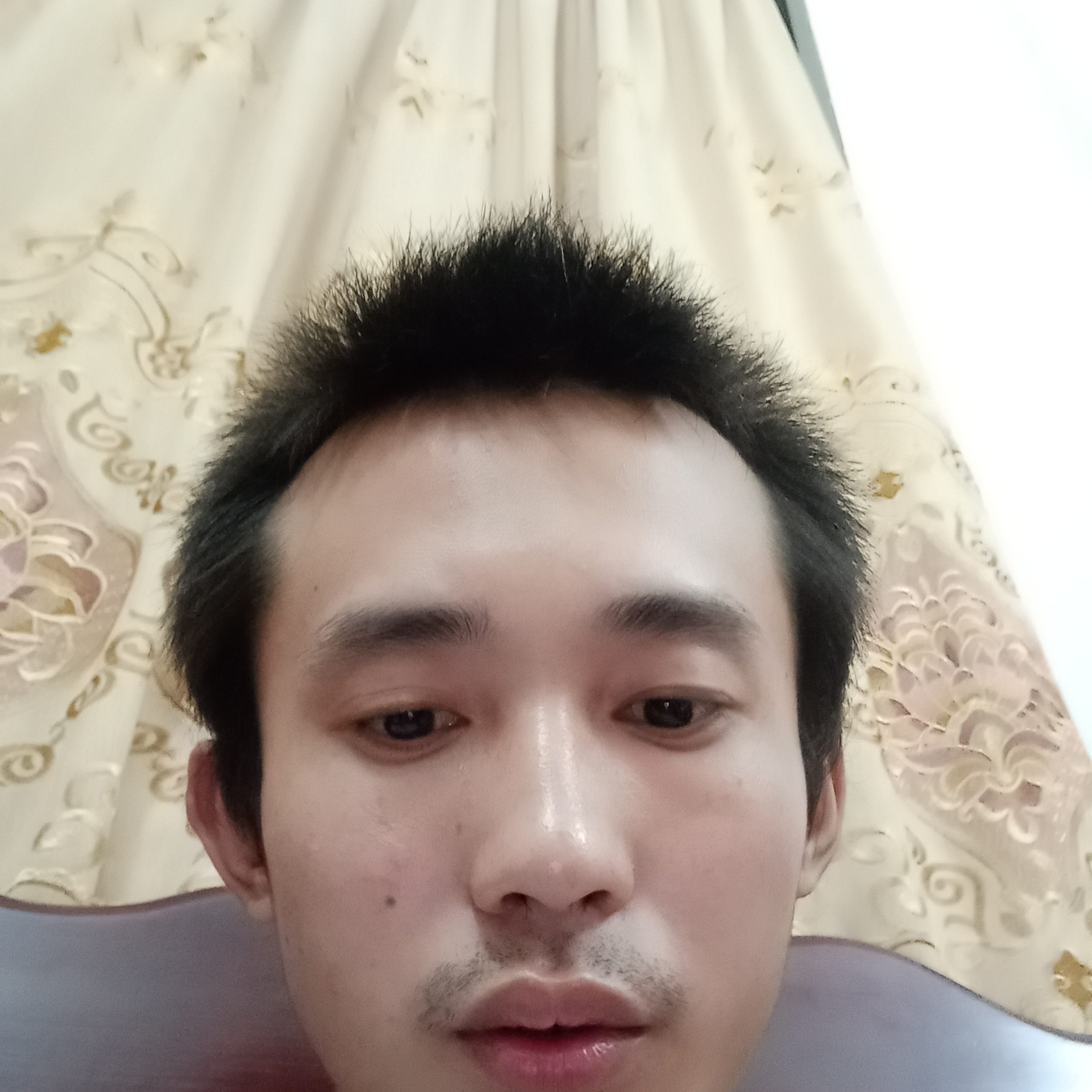 明理拿小蚂蚁的照片