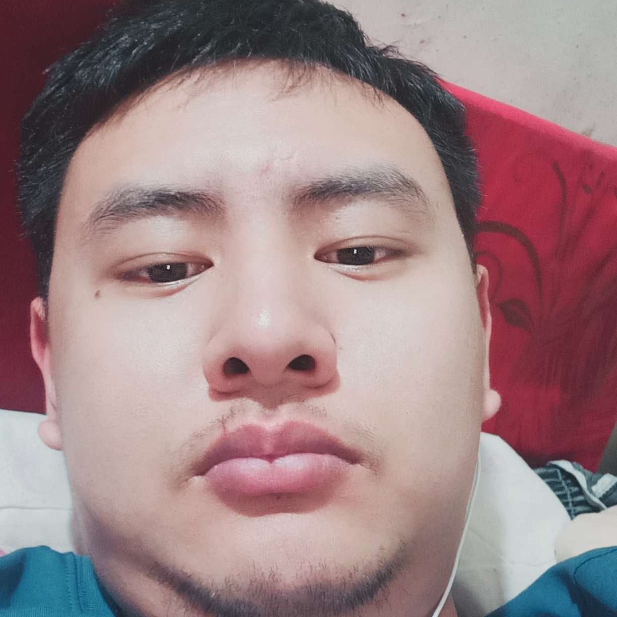 温婉有离歌的照片