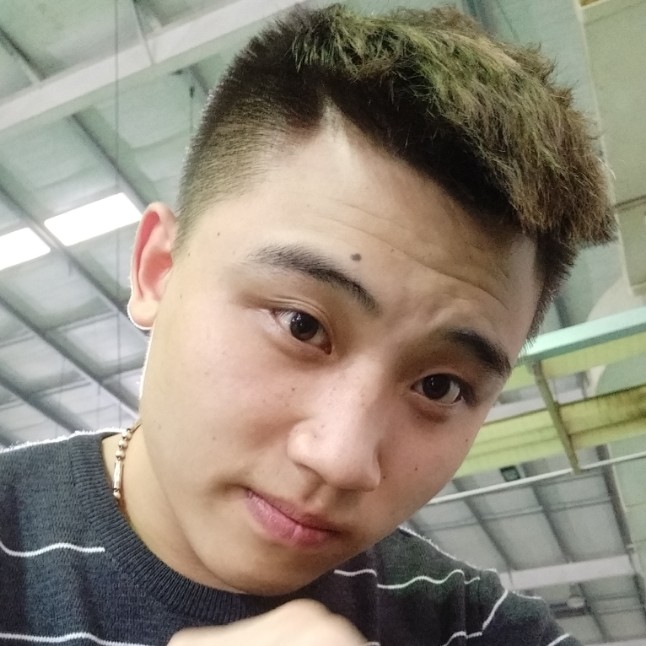 爱你不会走的照片
