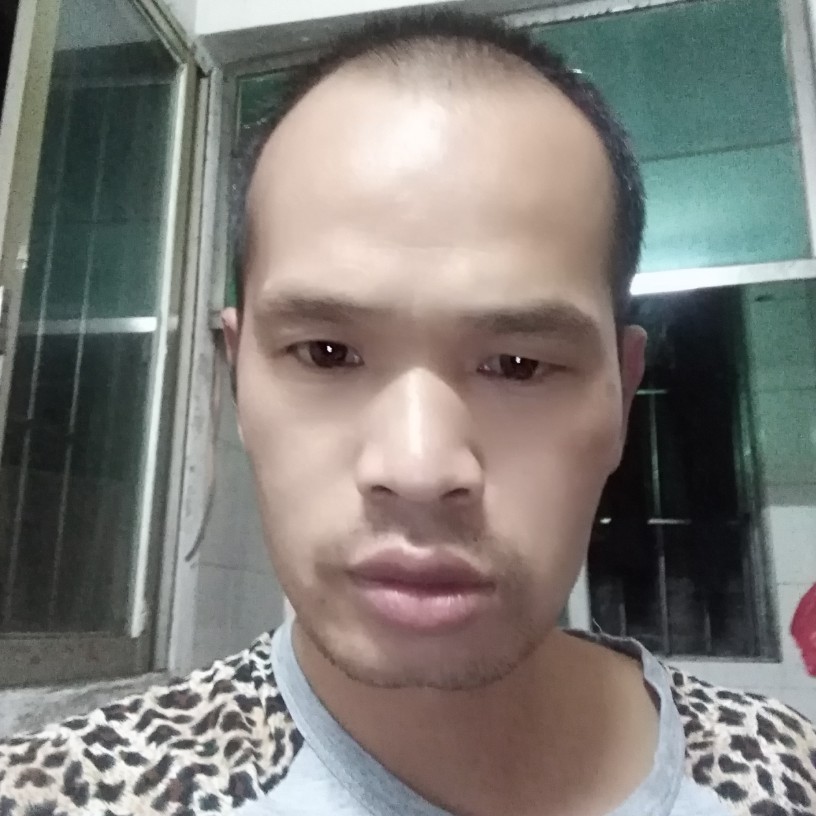 小蚂蚁和优雅的照片