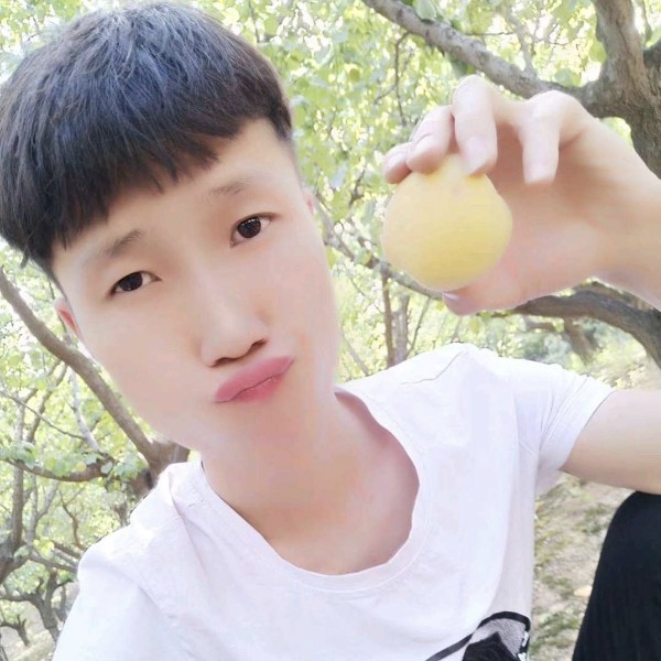 忧郁的招牌的照片