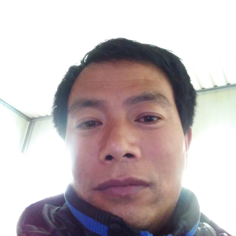 为毛的照片