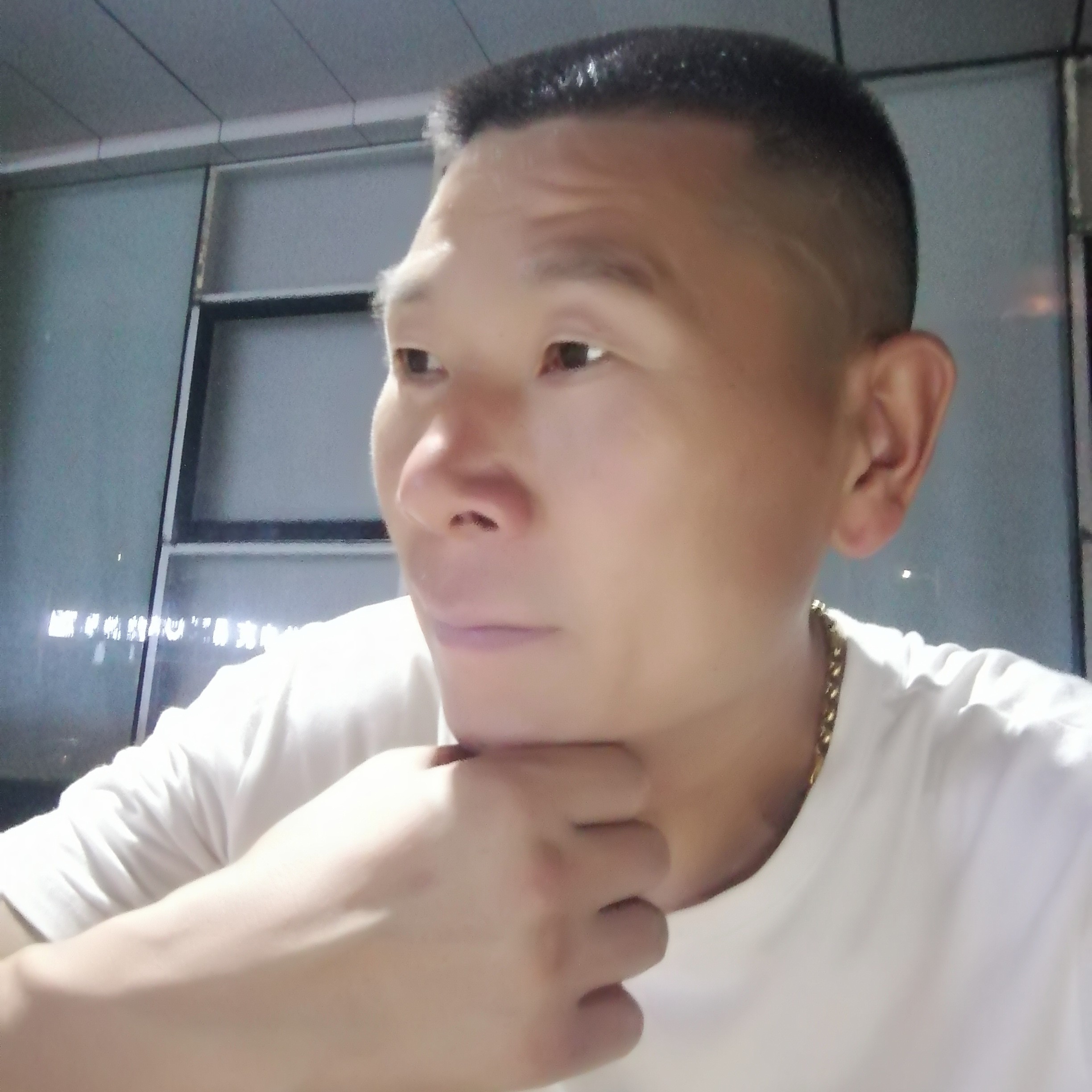 去无踪来无影的照片