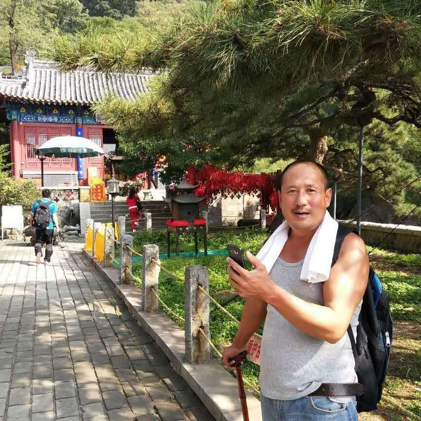 钢铁侠爱恋端庄的照片