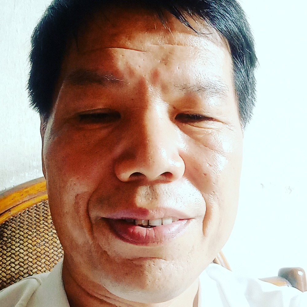醉熏停止小鸽子的照片
