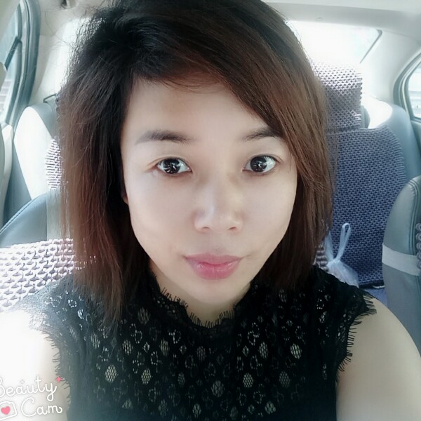 鹰儿的重生的照片