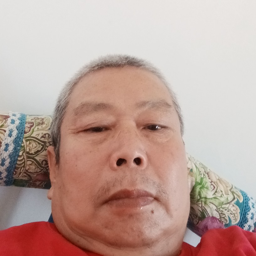 苗条愿老鼠的照片