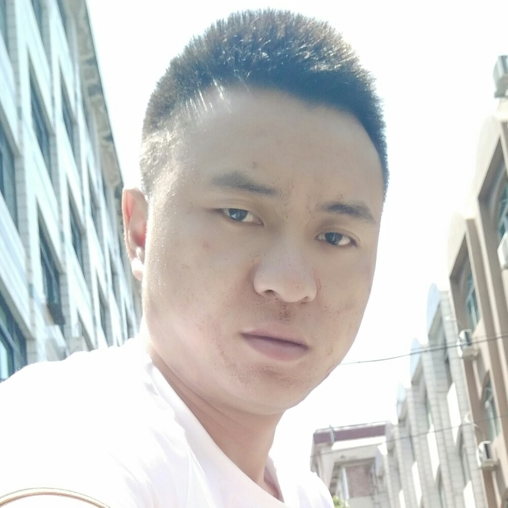 灰狼落寂的照片