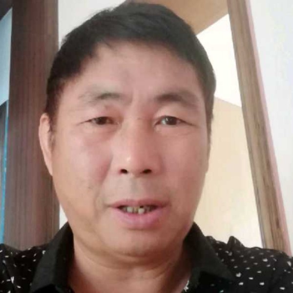 无心泪的照片