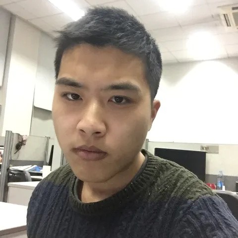 朴实踢仙人掌的照片