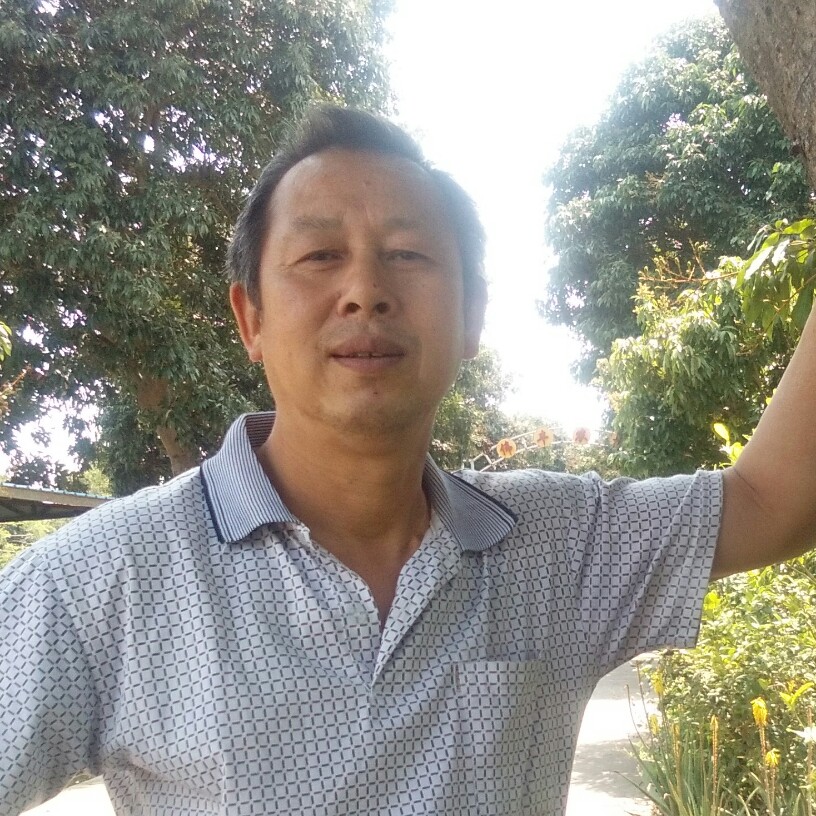 透彻蹁跹蓝莓的照片