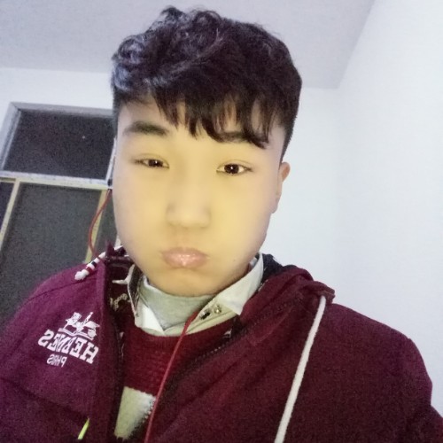 铩鳕的照片