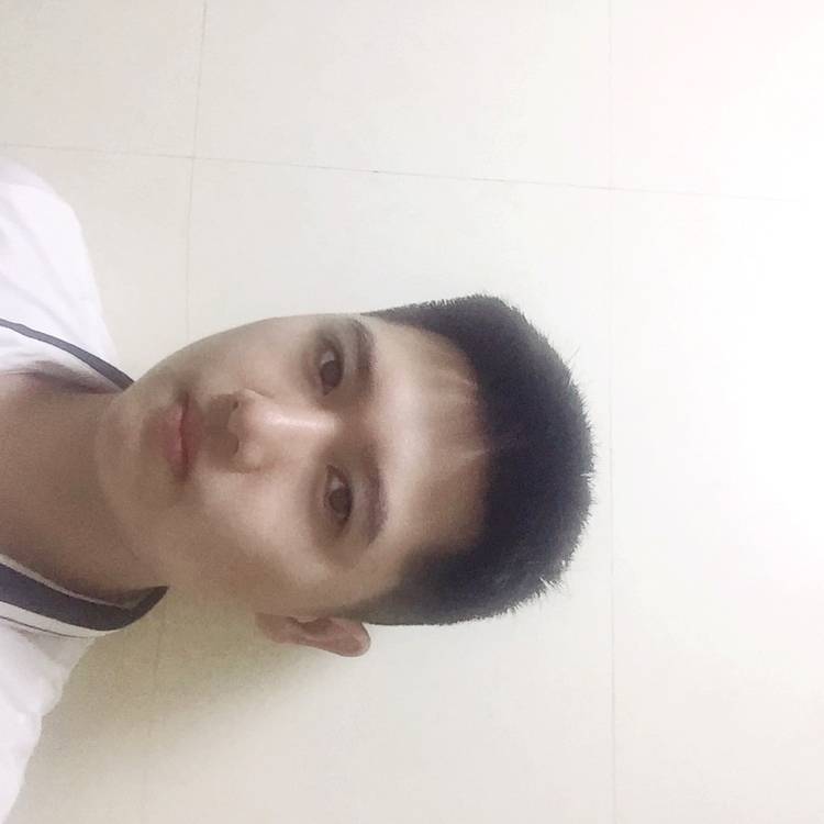 踏风寻月的照片